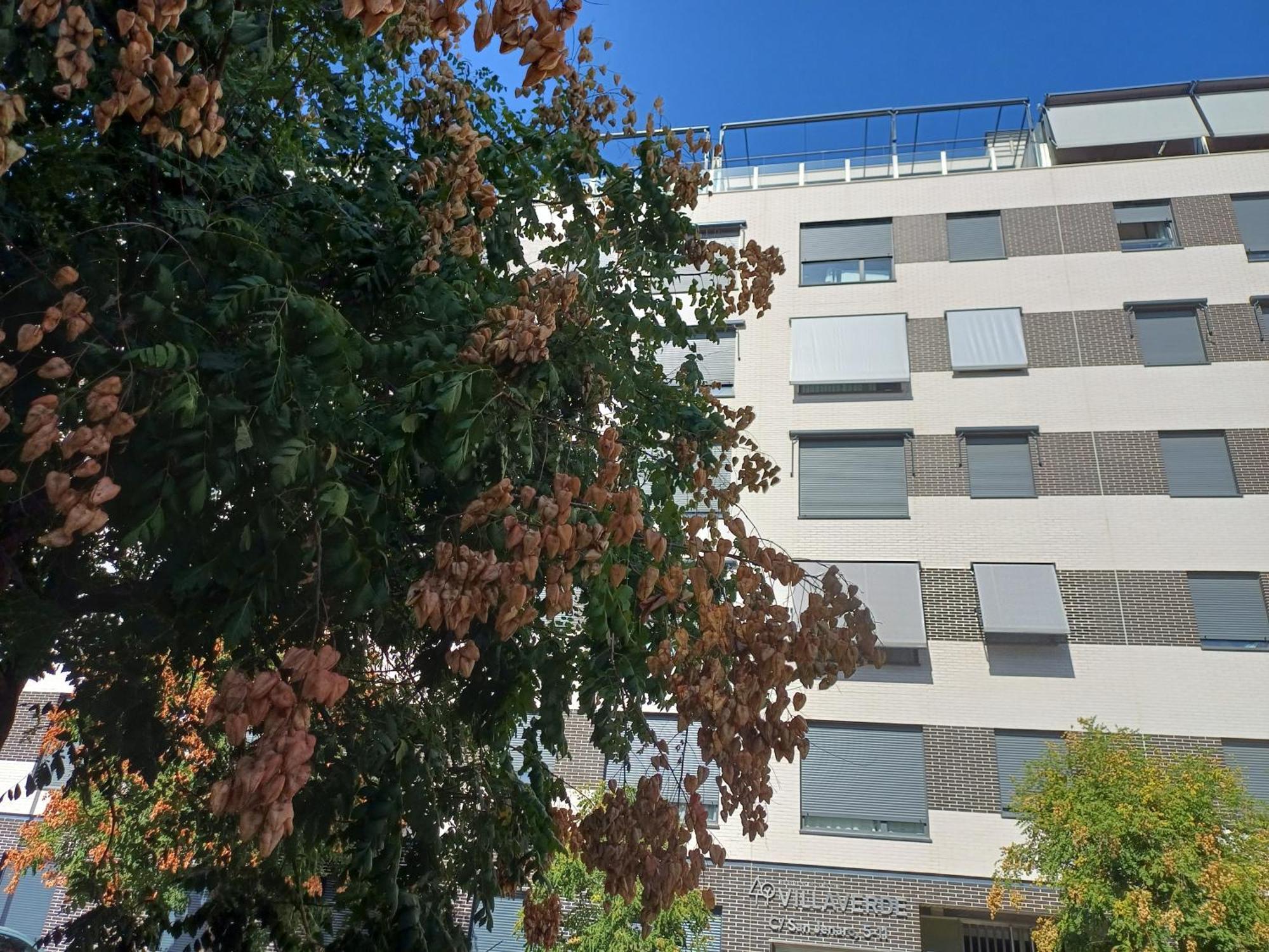 Familiar Centro Apartment Madrid